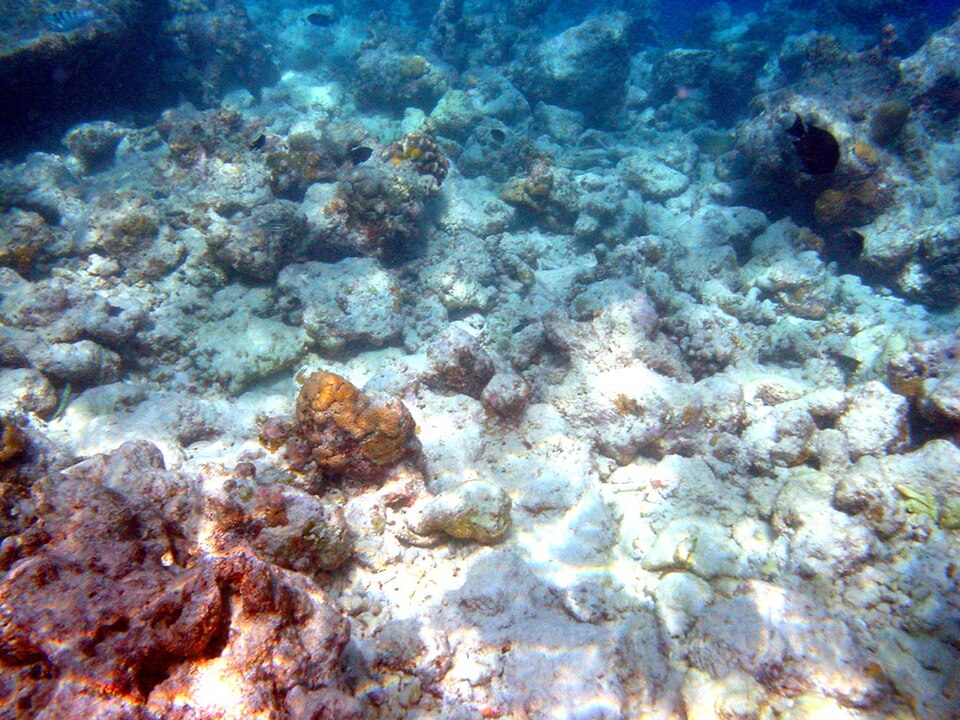 Ponto Turístico Hanauma Bay Nature Preserve em Honolulu
