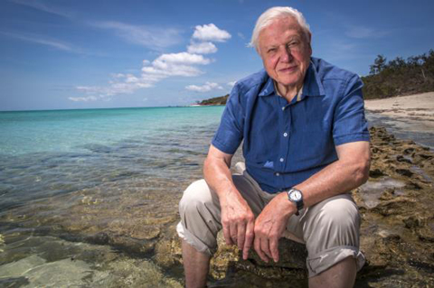 Ponto Turístico 3D Museum of Wonders em Playa del Carmen