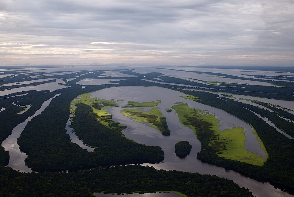 Ponto Turístico Parque Nacional de Anavilhanas em Manaus